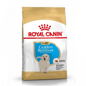Royal Canin Seca Golden Retriever Puppy